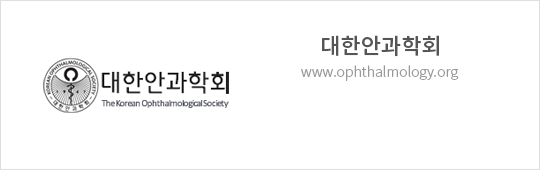 대한안과학회 